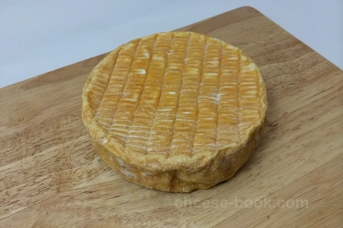 サンジェルマン