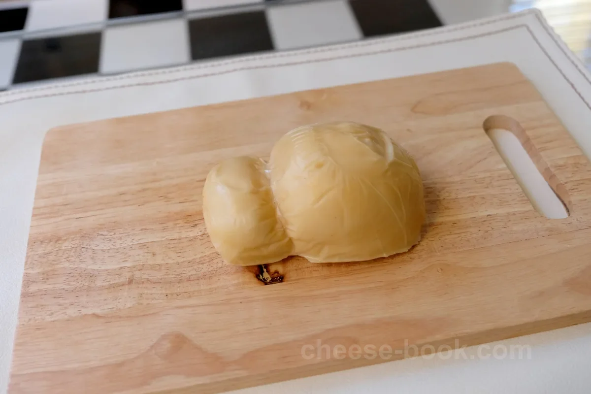 スカモルツァ・アフミカータ