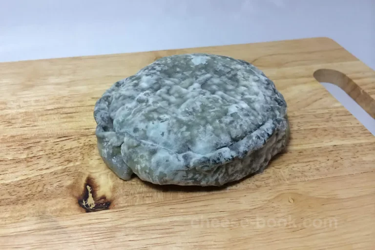 Selles-sur-Cher 外観